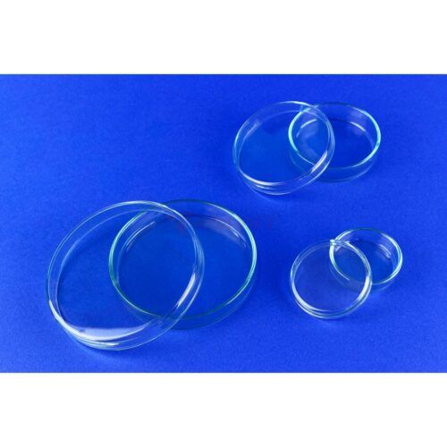 Đĩa petri thủy tinh Assistent đk 4cm
