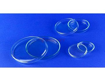 Đĩa petri thủy tinh Assistent đk 15cm