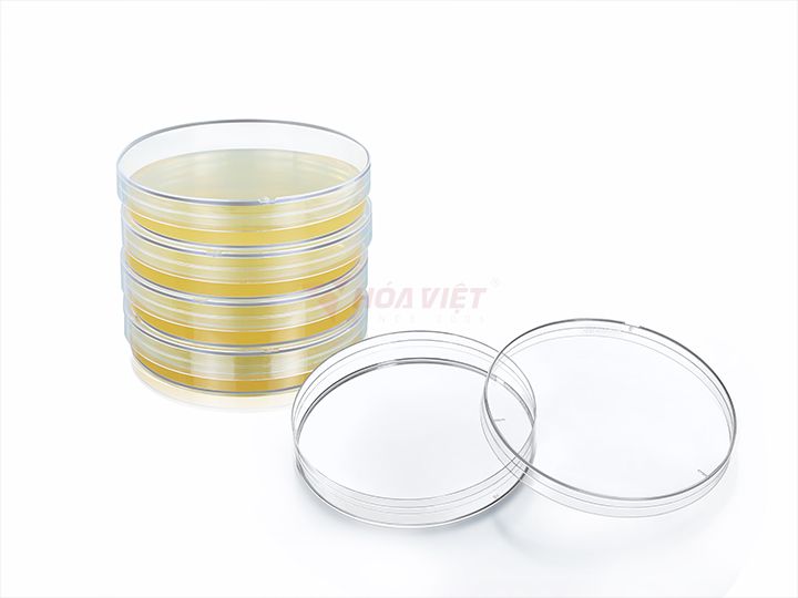 Đĩa petri Mida 90x15mm tiệt trùng Đĩa petri Mida 90x15mm tiệt trùng