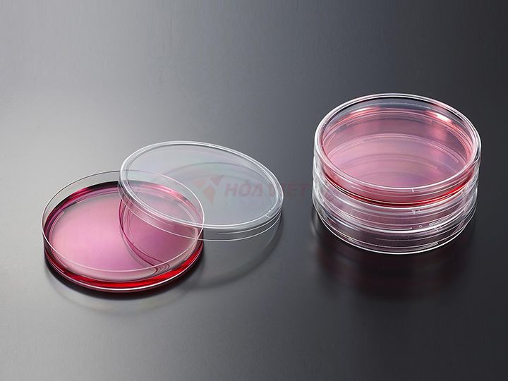 Đĩa petri nhựa Jet biofil 90mm tiệt trùng Đĩa petri nhựa Jet biofil 90mm tiệt trùng