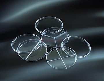 Đĩa petri nhựa Aptaca 90mm 3 ngăn có 3 gờ thông khí