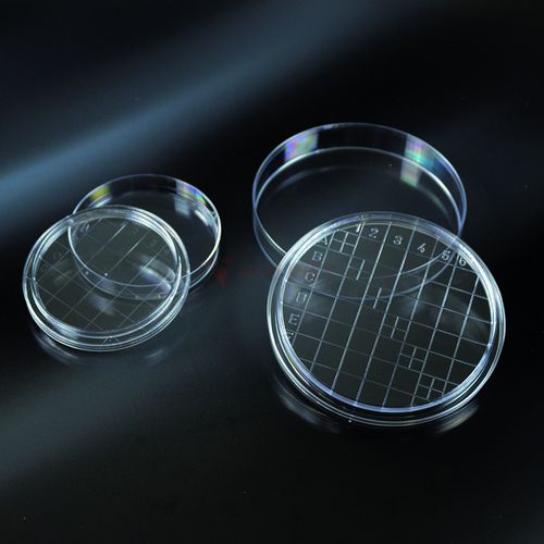 Đĩa petri nhựa Aptaca 55mm tiệt trùng kẻ sọc Đĩa petri nhựa Aptaca 55mm tiệt trùng kẻ sọc