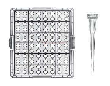 Hộp tip trắng Vitlab 0.5-20ul 96 cái/hộp
